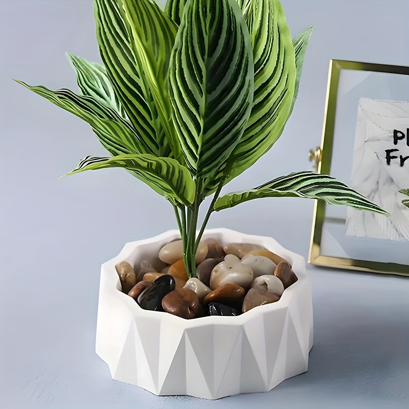 แม่พิมพ์ซิลิโคนทรงกลมขนาดใหญ่  - Potsticker Mold บทวิจารณ์และราคา