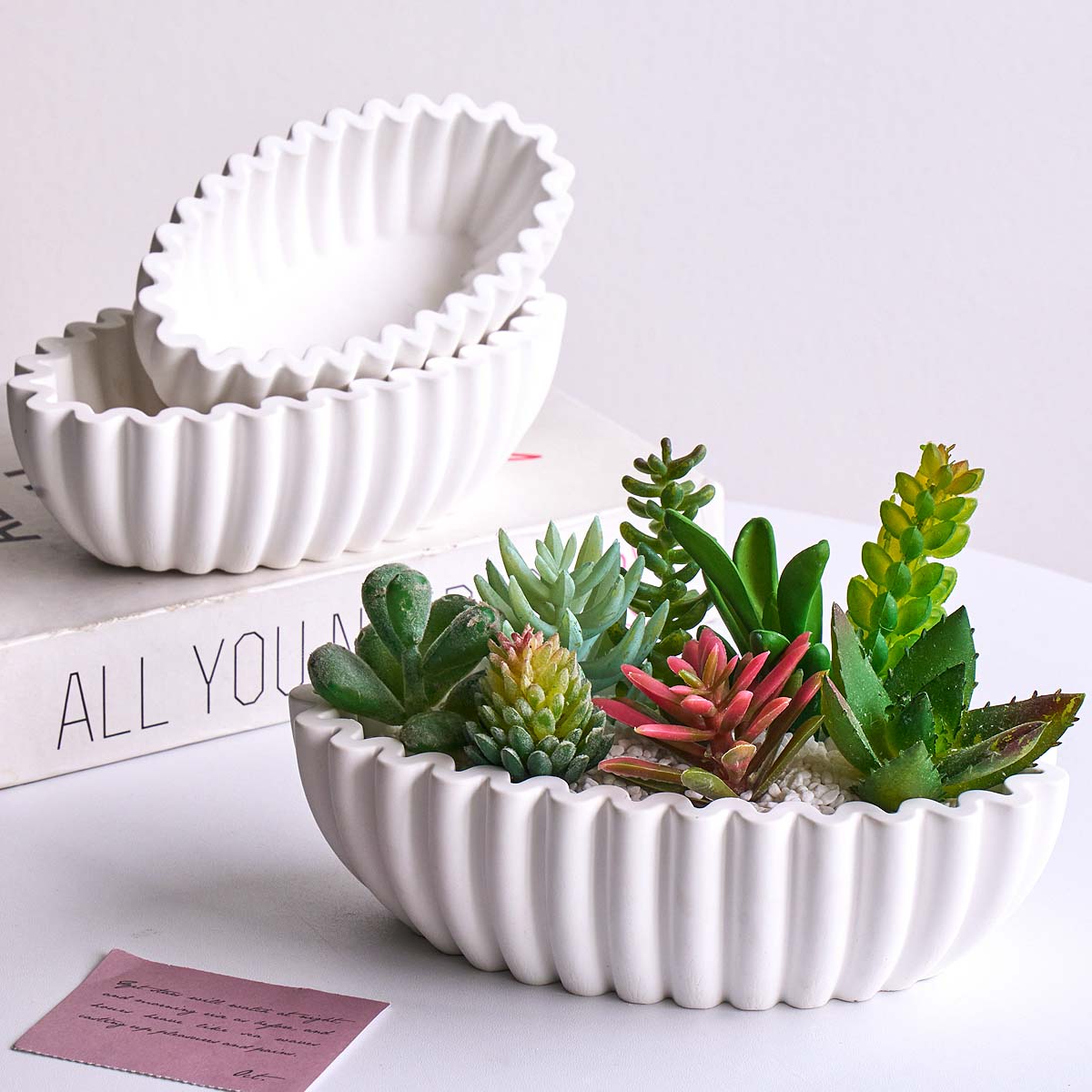 แม่พิมพ์ซิลิโคนรูปวงรีลายทาง S - Potsticker Mold บทวิจารณ์และราคา